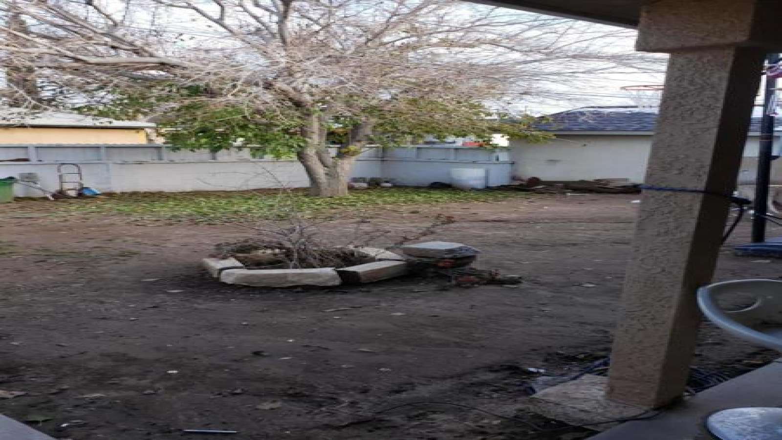 Back Yard